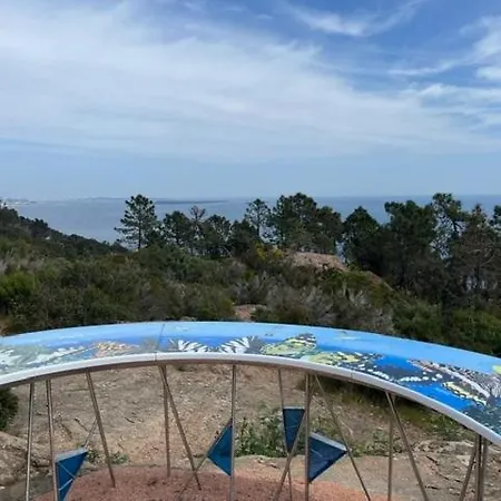 Riviera Azur Sea View, Swimming Pool, Jacuzzi * Théoule-sur-Mer